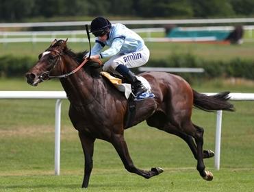 https://betting.betfair.com/horse-racing/Moore%20on%20Telescope.jpg